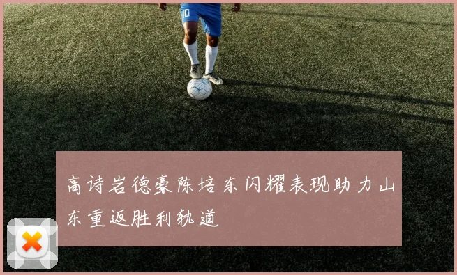 高诗岩德豪陈培东闪耀表现助力山东重返胜利轨道