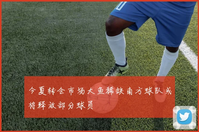 今夏转会市场大鱼稀缺南方球队或将释放部分球员