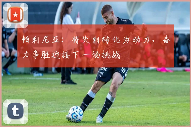 帕利尼亚：将失利转化为动力，奋力争胜迎接下一场挑战